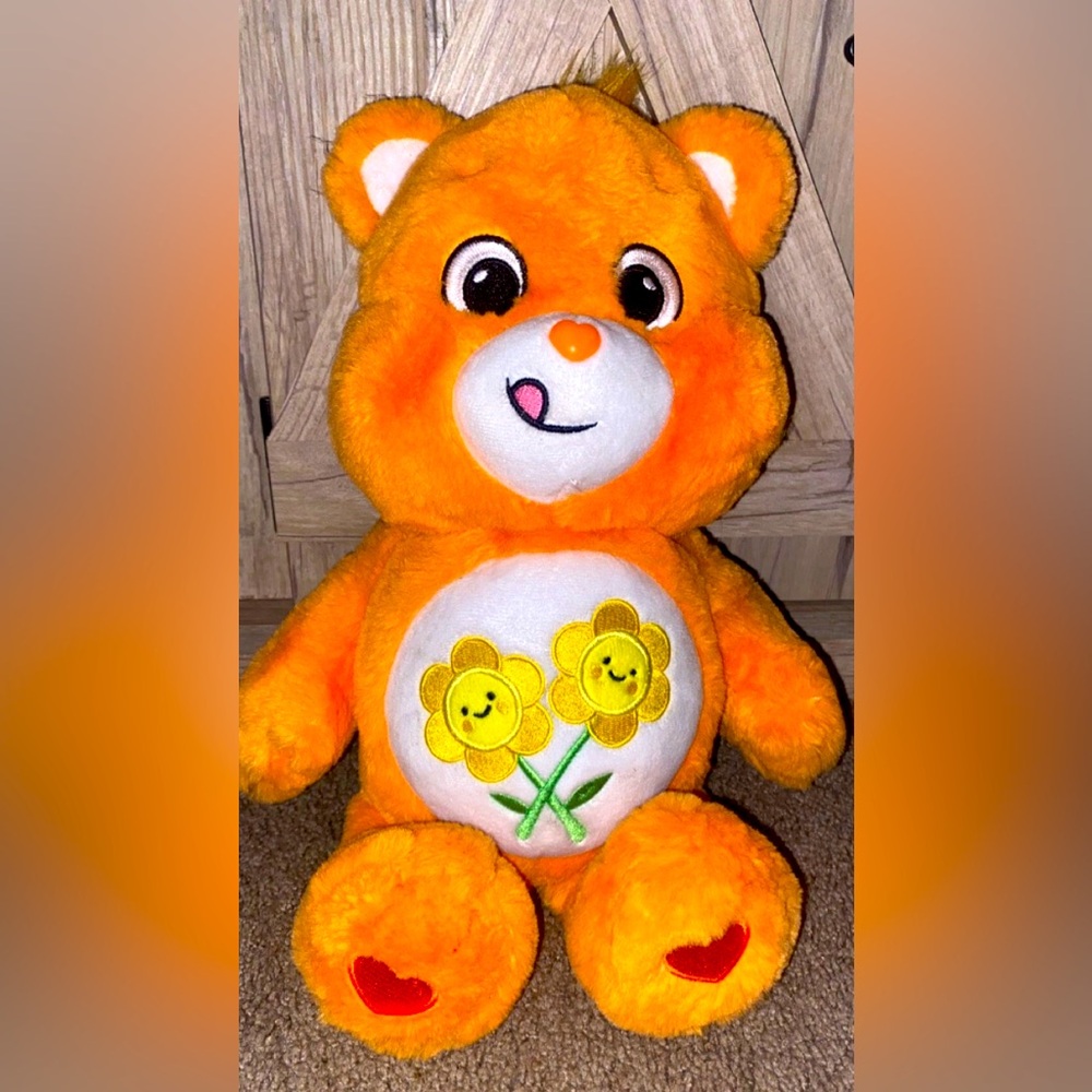 Friend bear care bear plush